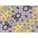 Fototapeet Komar FLX7-065 - Fractal Flakes