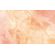 Fototapeet Komar FLX8-001 - Candy Peach