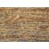 Fototapeet Komar SHX7-175 - African Wall