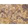 Fototapeet Komar SHX7-178 - African Wall