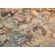 Fototapeet Komar SHX7-180 - African Wall