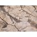 Fototapeet Komar SHX7-181 - African Wall