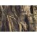 Fototapeet Komar SHX7-183 - African Wall