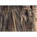 Fototapeet Komar SHX7-184 - African Wall