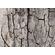 Fototapeet Komar SHX7-185 - African Wall