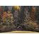 Fototapeet Komar SHX7-190 - Autumn Cabin