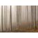 Fototapeet Komar SHX7-192 - Misty Forest Serenity