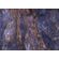 Fototapeet Komar SHX7-194 - Colors of Earth
