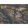 Fototapeet Komar SHX7-198 - Colors of Earth