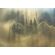 Fototapeet Komar SHX7-205 - Misty Forest Sunrise
