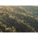 Fototapeet Komar SHX7-208 - Mellow Woods