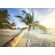 Fototapeet Komar SHX7-209 - Palm Beach