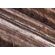 Fototapeet Komar SHX7-218 - Secrets of the Desert