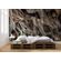 Fototapeet Komar SHX7-220 - Swirly Bark