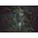 Fototapeet Komar SHX7-221 - The Guardian