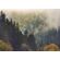 Fototapeet Komar SHX7-225 - Misty Forest Elegance