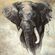 Pilttapeet Smart Art 33098 Elephant, 159×270 cm