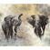 Pilttapeet Smart Art 33100 Elephants, 318×270 cm