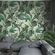 Tapeet Smart Art 34197 Esma