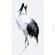 Pilttapeet Smart Art 34594 Japanese Crane, 106×270 cm