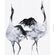 Pilttapeet Smart Art 34595 Japanese Cranes, 159×270 cm