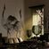 Pilttapeet Smart Art 34595 Japanese Cranes, 159×270 cm