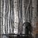 Tapeet Smart Art 35395 Birch Forest