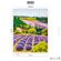 Pilttapeet Smart Art 35642 Lavender Farm, 212×270 cm
