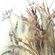 Pilttapeet Smart Art 35797 Delicate Grasses, 159×270 cm