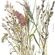 Pilttapeet Smart Art 35798 Delicate Grasses, 159×270 cm