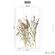 Pilttapeet Smart Art 35798 Delicate Grasses, 159×270 cm