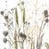 Pilttapeet Smart Art 35799 Delicate Grasses, 159×270 cm