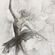 Pilttapeet Smart Art 36392 Ballerina Amelia, 212×270 cm