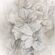 Pilttapeet Smart Art 36394 Blossoms Eva, 212×270 cm