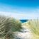 Pilttapeet Smart Art 42014 Marram Grass, 212×250 cm