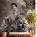 Pilttapeet Smart Art 48344 Agatha, 212×270 cm