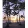 Фотообои Palmtrees on Beach SH022-VD2 (200×250 см)