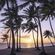 Цифровые фотообои Stefan Hefele Palmtrees on Beach SH022-VD2