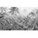 Pilttapeet Amazonia P013-VD4 - 400×250 cm