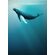 Фотообои Artsy Humpback Whale IAX4-0045