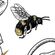 Fototapeet Bumble Bee RSX8-054