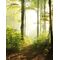 Tapeet Smart Art 47221 - Sunrise Forest