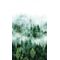 Обои Smart Art 47267 - Foggy Pine Tree Forest