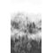 Tapeet Smart Art 47268 - Foggy Pine Tree Forest