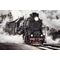 Фотообои Steam Locomotive, 375×250 cm