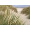 Fototapeet Sand Dune Path, 375×250 cm