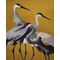 Fototapeet Komar FLX4-053 - Yellow Cranes
