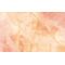 Fototapeet Komar FLX8-001 - Candy Peach