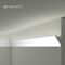 Valguskarniis IL4 Wallstyl, 60×36 mm