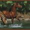 Sisustuskleebis RMK1016BCS Wild Horse Border